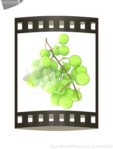 Image of Healthy fruits Green wine grapes isolated white background. Bunc