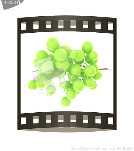 Image of Healthy fruits Green wine grapes isolated white background. Bunc