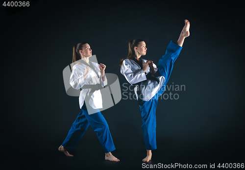 Image of The karate girl with black belt