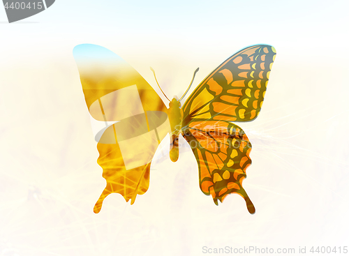 Image of Vector illustration of a butterfly in the style of double exposure. Greetings to spring or summer