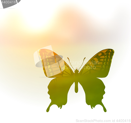 Image of Vector illustration of a butterfly in the style of double exposure. Greetings to spring or summer