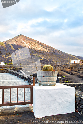 Image of Vineyards in La Geria, Lanzarote Island