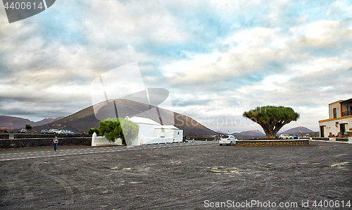 Image of Vineyards in La Geria, Lanzarote Island