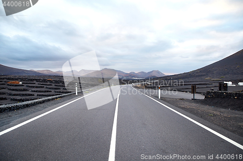 Image of Vineyards in La Geria, Lanzarote Island