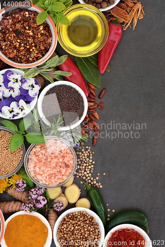 Image of Herb and Spice Abstract Border
