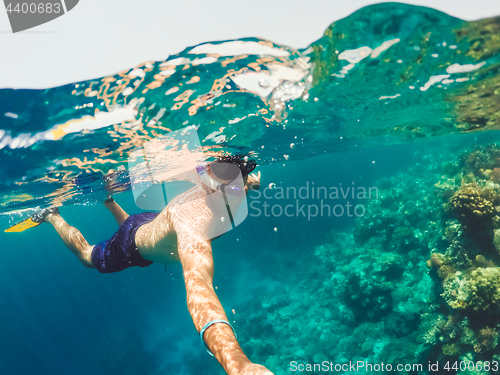 Image of Snorkel swims in shallow water, Red Sea, Egypt Safaga