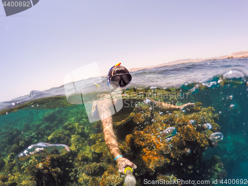 Image of Snorkel swims in shallow water, Red Sea, Egypt Safaga