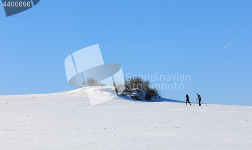 Image of unidentified skier on the horizon winter landscape