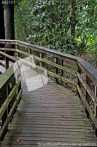 Image of Wooden Pathway