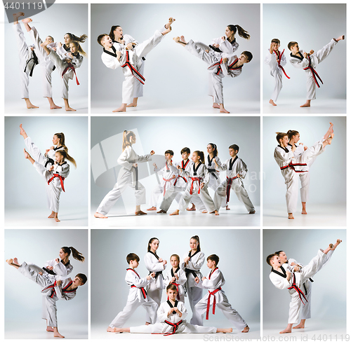 Image of The studio shot of group of kids training karate martial arts