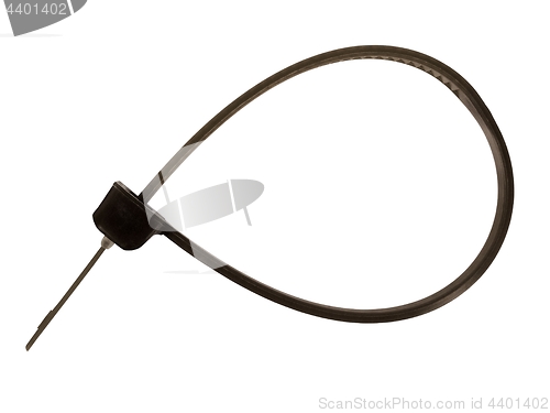 Image of Cable tie on white