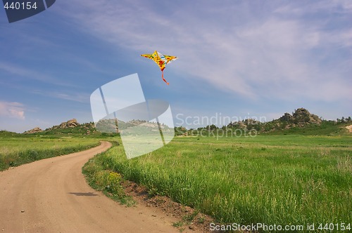 Image of Kite in the summer cloudy sky