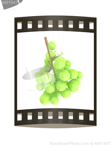 Image of Healthy fruits Green wine grapes isolated white background. Bunc