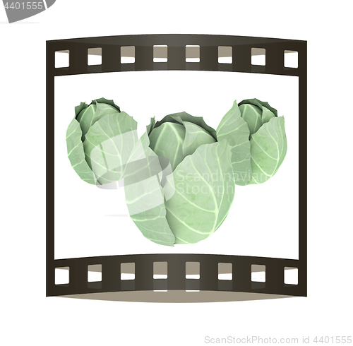 Image of green cabbage isolated on white background. 3d illustration. The