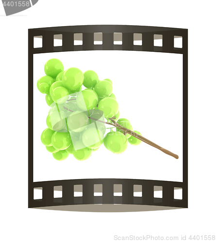 Image of Healthy fruits Green wine grapes isolated white background. Bunc