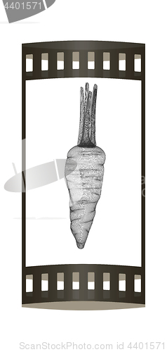Image of carrot. 3D illustration. The film strip.