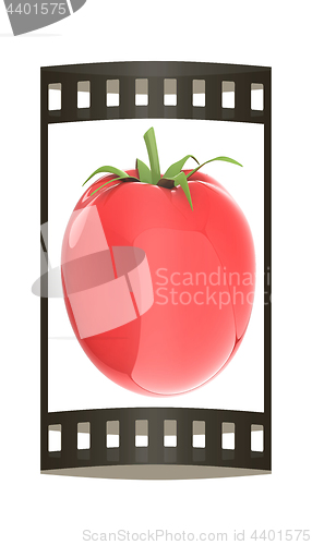 Image of tomato. 3d illustration. The film strip.