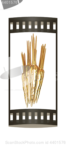 Image of Gold Carrots. 3d illustration. The film strip.