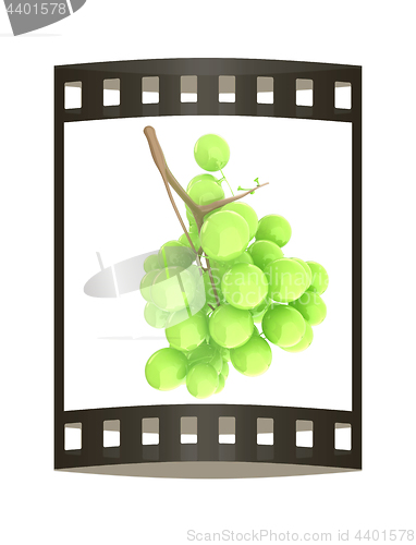 Image of Healthy fruits Green wine grapes isolated white background. Bunc