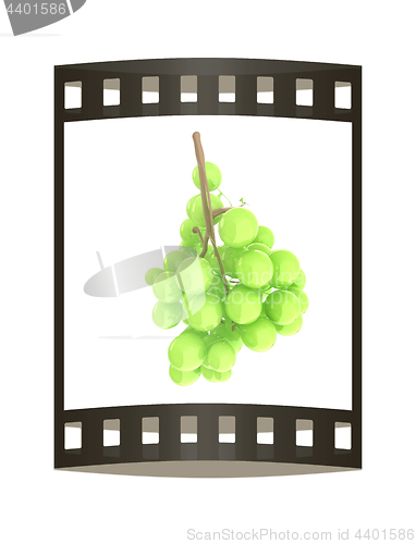 Image of Healthy fruits Green wine grapes isolated white background. Bunc