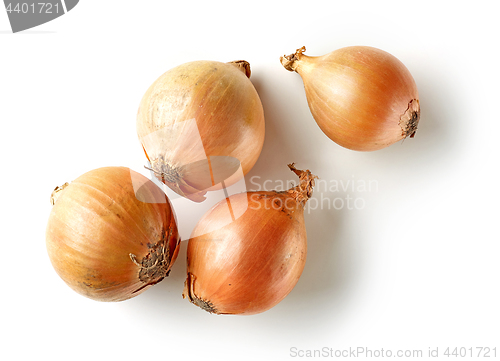 Image of fresh raw onions