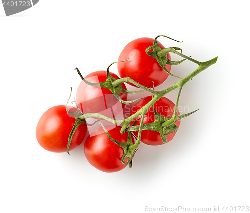 Image of fresh raw tomatoes