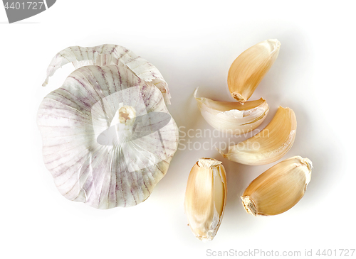 Image of fresh raw garlic