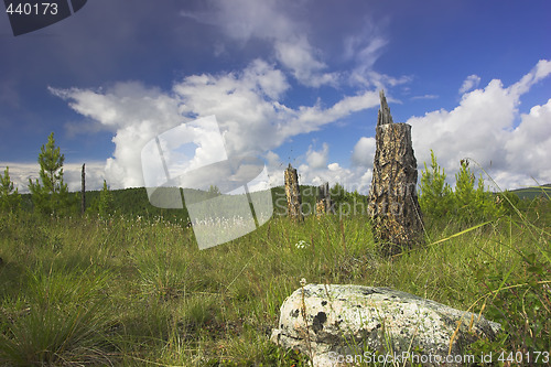 Image of summer landscape