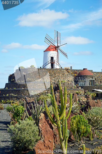 Image of Cactus garden Jardin de Cactus in Lanzarote Island