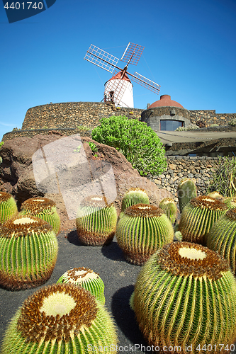 Image of Cactus garden Jardin de Cactus in Lanzarote Island