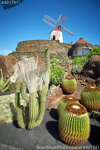 Image of Cactus garden Jardin de Cactus in Lanzarote Island