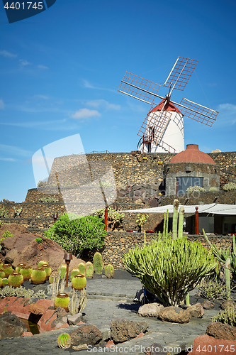 Image of Cactus garden Jardin de Cactus in Lanzarote Island