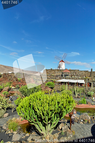 Image of Cactus garden Jardin de Cactus in Lanzarote Island