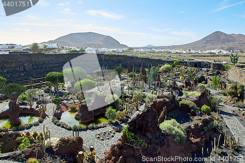 Image of Cactus garden Jardin de Cactus in Lanzarote Island