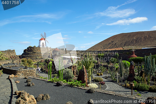 Image of Cactus garden Jardin de Cactus in Lanzarote Island