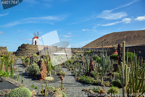 Image of Cactus garden Jardin de Cactus in Lanzarote Island