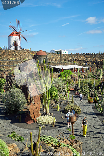 Image of Cactus garden Jardin de Cactus in Lanzarote Island