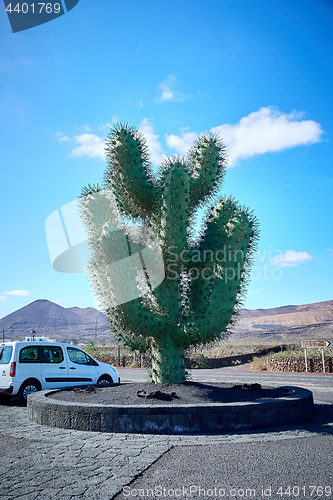 Image of Cactus garden Jardin de Cactus in Lanzarote Island