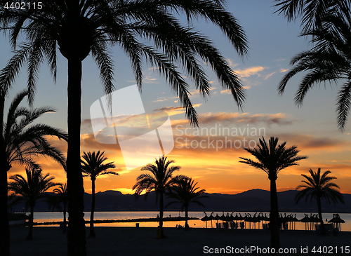 Image of Beautiful sunset on the beach