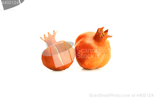 Image of Two pomegranate fruits 