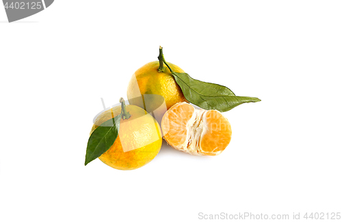 Image of Tangerines on a white