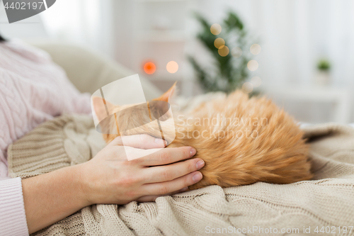 Image of close up of owner with red cat in bed at home