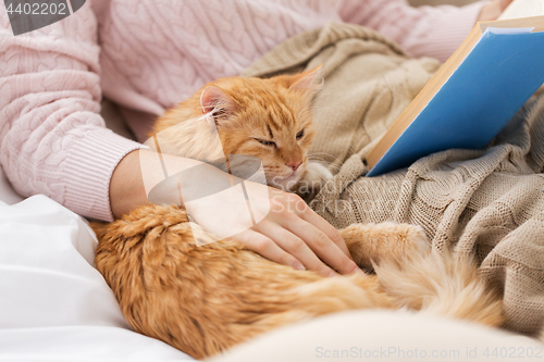 Image of red cat and female owner reading book at home