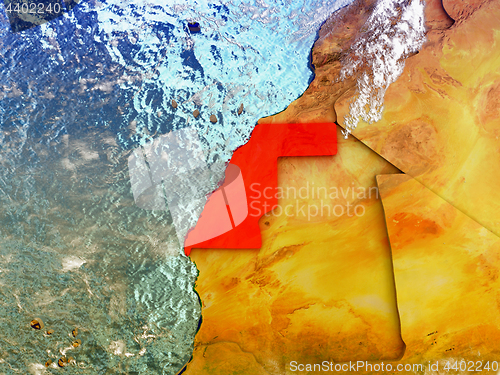 Image of Western Sahara on illustrated globe