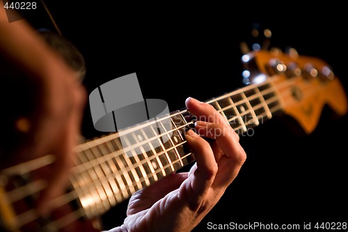 Image of Bassist