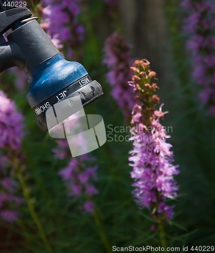 Image of Garden Hose Nozzle