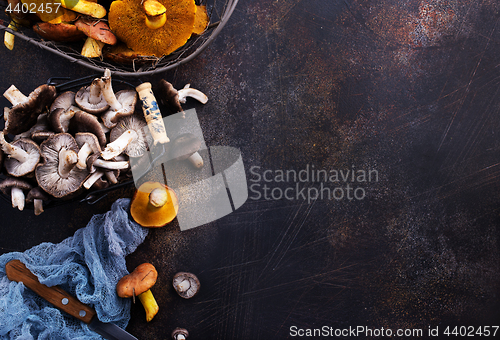 Image of raw mushrooms