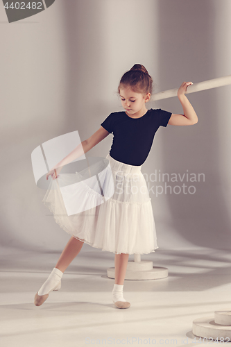 Image of The little balerina dancer on gray background