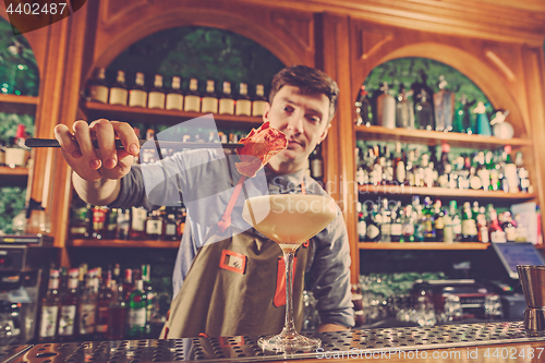 Image of Expert barman is making cocktail at night club.