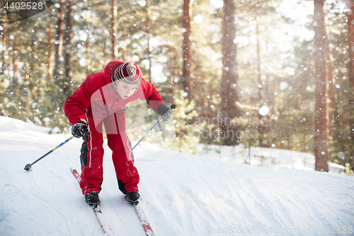 Image of skiing in the forest